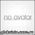Аватара нет